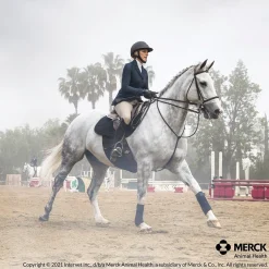 ANIMAL HEALTH INT Horse Dewormers|Panacur Paste Dewormer