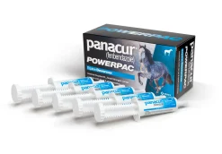 ANIMAL HEALTH INT Horse Dewormers|Panacur® PowerPac