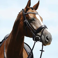 GEM-PASSIER English Bridles|Passier® Atlas Snaffle Bridle
