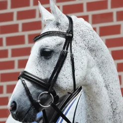 GEM-PASSIER English Bridles|Passier® Fortuna Snaffle Bridle