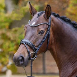 GEM-PASSIER English Bridles|Passier® Shadow Bridle