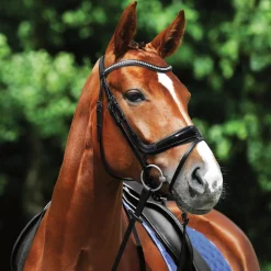 GEM-PASSIER English Bridles|Passier® Starlight Snaffle Bridle