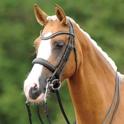 GEM-PASSIER English Bridles|PassierBLU® Dream Double Bridle