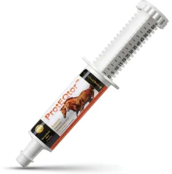 PERFECT PRODUCTS Horse Supplements|ProtEQtor™ Immune & Allergy Paste