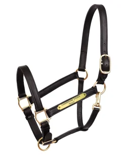 PERRIS LEATHER Halters|Perri’s® 1" Leather Turnout Halter with Nameplate