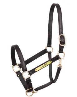 PERRIS LEATHER Halters|Perri’s® 1" Leather Turnout Halter with Nameplate
