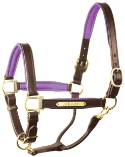 PERRIS LEATHER Halters|Perri’s® 1" Padded Leather Halter with Nameplate