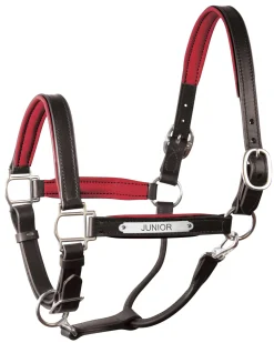 PERRIS LEATHER Halters|Perri’s® 1" Padded Leather Halter with Nameplate