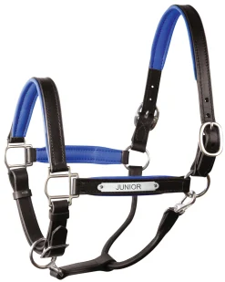 PERRIS LEATHER Halters|Perri’s® 1