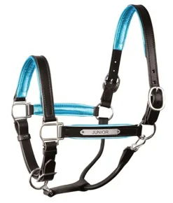 PERRIS LEATHER Halters|Perri’s® 1