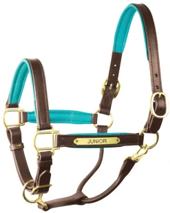 PERRIS LEATHER Halters|Perri’s® 1