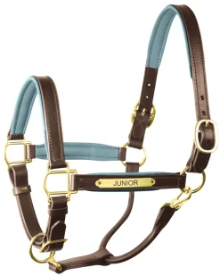 PERRIS LEATHER Halters|Perri’s® 1