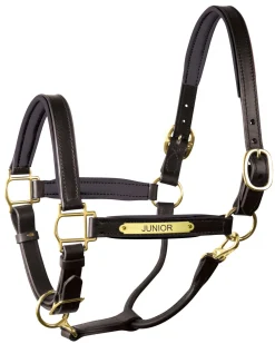 PERRIS LEATHER Halters|Perri’s® 1