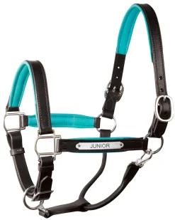 PERRIS LEATHER Halters|Perri’s® 1