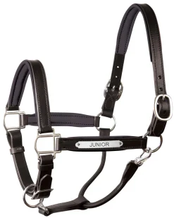 PERRIS LEATHER Halters|Perri’s® 1