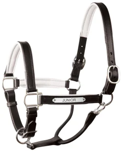 PERRIS LEATHER Halters|Perri’s® 1