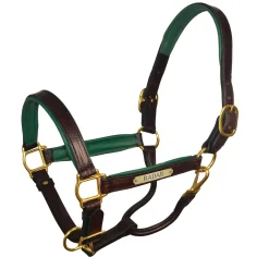 PERRIS LEATHER Halters|Perri’s® 1