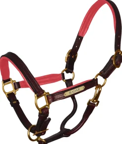 PERRIS LEATHER Halters|Perri’s® 1