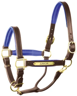 PERRIS LEATHER Halters|Perri’s® 1