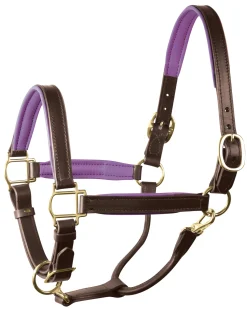 PERRIS LEATHER Halters|Perri’s® 1" Padded Leather Halter