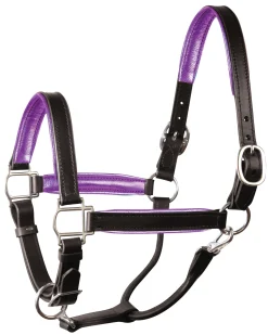 PERRIS LEATHER Halters|Perri’s® 1