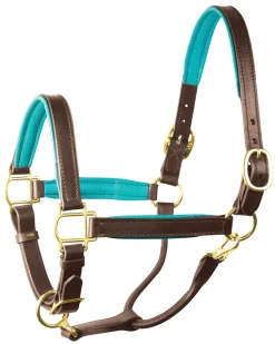 PERRIS LEATHER Halters|Perri’s® 1