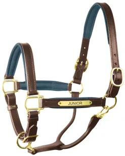 PERRIS LEATHER Halters|Perri’s® 1