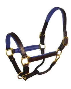PERRIS LEATHER Halters|Perri’s® 1