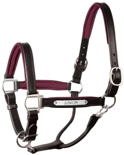 PERRIS LEATHER Halters|Perri’s® 1