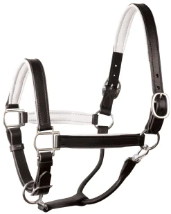 PERRIS LEATHER Halters|Perri’s® 1