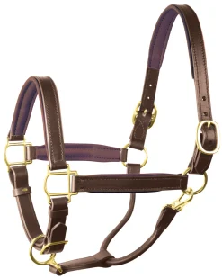 PERRIS LEATHER Halters|Perri’s® 1