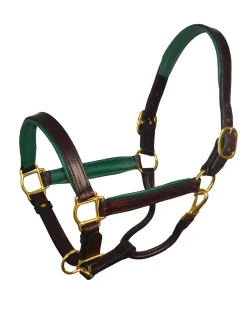 PERRIS LEATHER Halters|Perri’s® 1