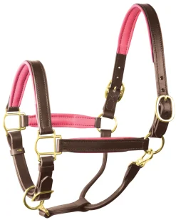 PERRIS LEATHER Halters|Perri’s® 1