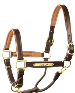 PERRIS LEATHER Halters|Perri’s® 1