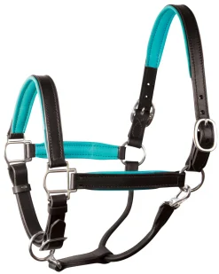 PERRIS LEATHER Halters|Perri’s® 1