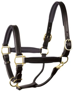 PERRIS LEATHER Halters|Perri’s® 1