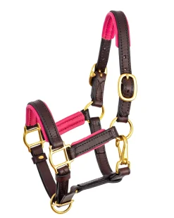 PERRIS LEATHER Halters|Perri’s® 3/4" Padded Leather Mini Halter