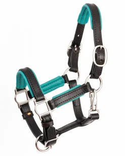 PERRIS LEATHER Halters|Perri’s® 3/4" Padded Leather Mini Halter