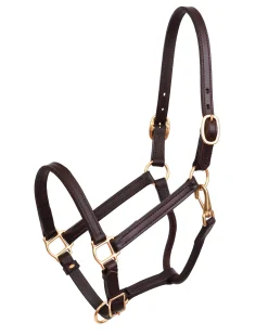 PERRIS LEATHER Halters|Perri’s® 3/4" Premium Leather Show Halter