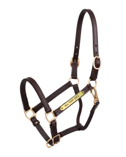 PERRIS LEATHER Halters|Perri’s® 3/4" Premium Leather Show Halter with Nameplate