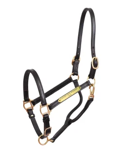 PERRIS LEATHER Halters|Perri’s® 3/4" Premium Leather Show Halter with Nameplate