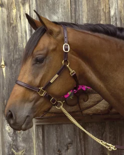 PERRIS LEATHER Halters|Perri’s® 3/4