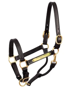 PERRIS LEATHER Stable & Stall Accessories|Halters|Perri’s® 1" XL Stallion Premium Leather Show Halter with Nameplate