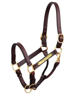 PERRIS LEATHER Stable & Stall Accessories|Halters|Perri’s® 1" XL Stallion Premium Leather Show Halter with Nameplate