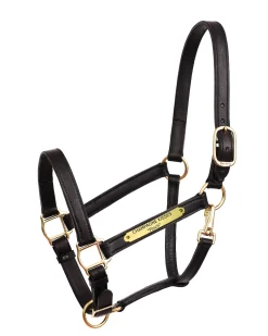 PERRIS LEATHER Halters|Perri’s® Draft Leather Turnout Halter