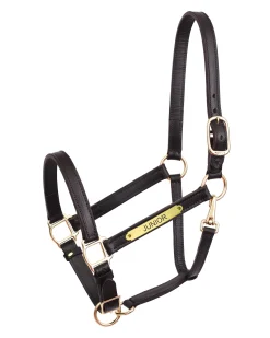 PERRIS LEATHER Halters|Perri’s® Draft Leather Turnout Halter