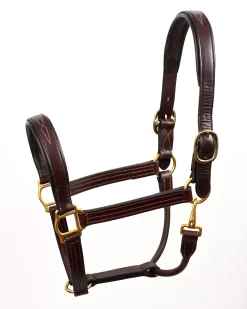 PERRIS LEATHER Halters|Perri’s® Fancy-Stitched Padded Leather Halter