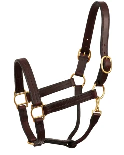 PERRIS LEATHER Halters|Perri’s® Heavy-Duty Track Halter with Snap
