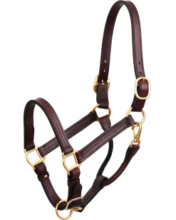 PERRIS LEATHER Halters|Perri’s® Horse Professional Show Halter