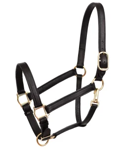 PERRIS LEATHER Halters|Perri’s® Leather Turnout Draft Halter